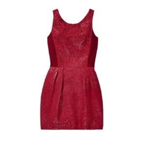 Babaton Burgundy Ellsworth Flare Dress Sz‎ 0